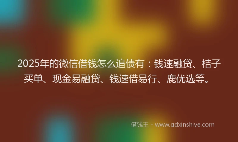 2025年的微信借钱怎么追债有：钱速融贷、桔子买单、现金易融贷、钱速借易行、鹿优选等。