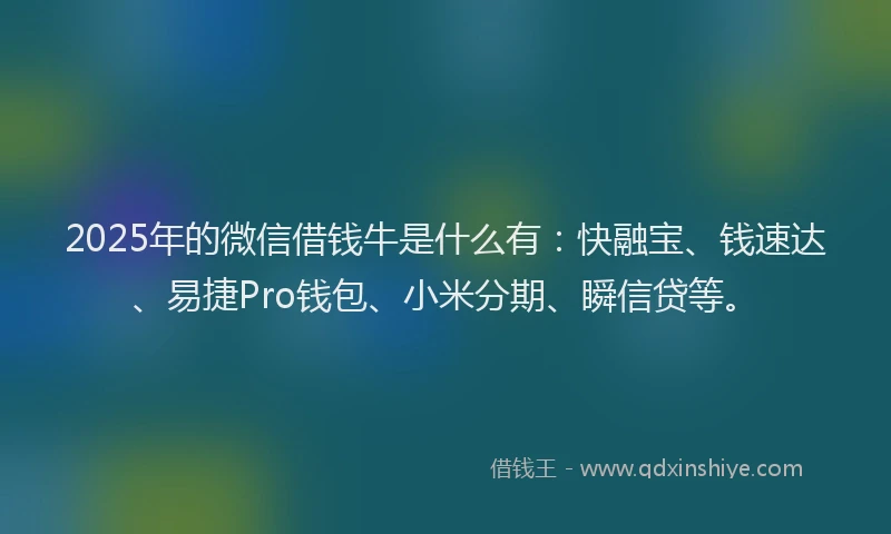 2025年的微信借钱牛是什么有：快融宝、钱速达、易捷Pro钱包、小米分期、瞬信贷等。