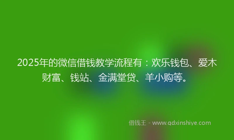 2025年的微信借钱教学流程有：欢乐钱包、爱木财富、钱站、金满堂贷、羊小购等。