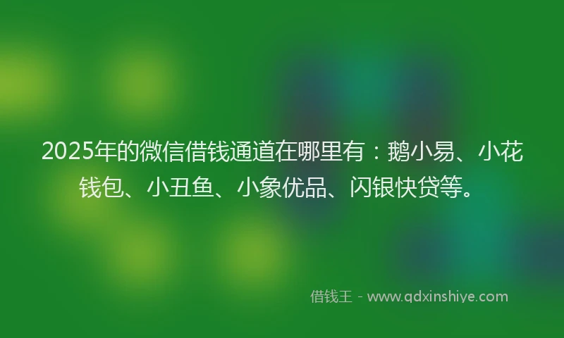2025年的微信借钱通道在哪里有：鹅小易、小花钱包、小丑鱼、小象优品、闪银快贷等。