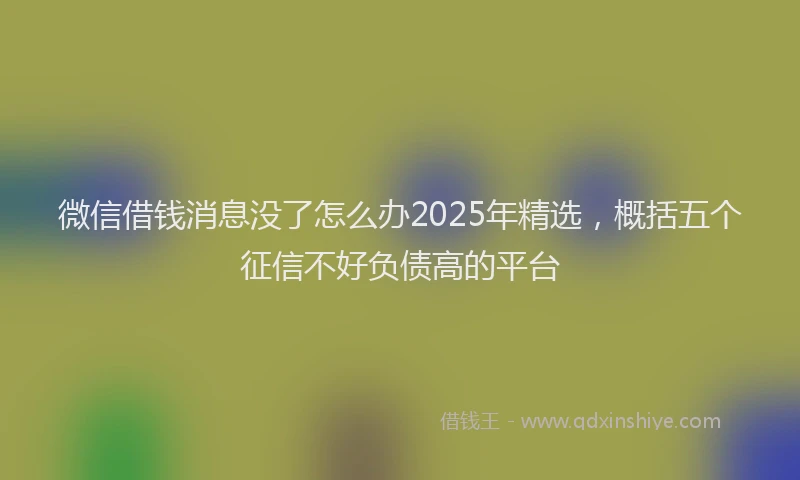 微信借钱消息没了怎么办2025年精选，概括五个征信不好负债高的平台
