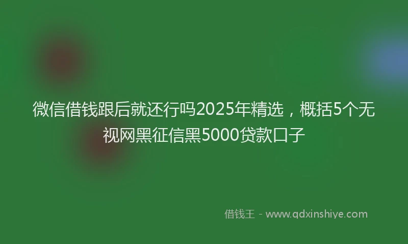 微信借钱跟后就还行吗2025年精选，概括5个无视网黑征信黑5000贷款口子