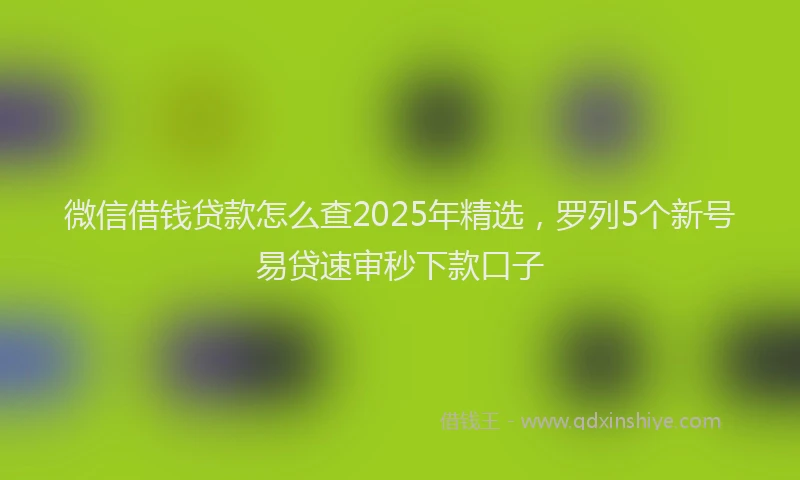 微信借钱贷款怎么查2025年精选，罗列5个新号易贷速审秒下款口子