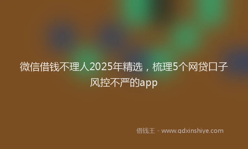 微信借钱不理人2025年精选，梳理5个网贷口子风控不严的app