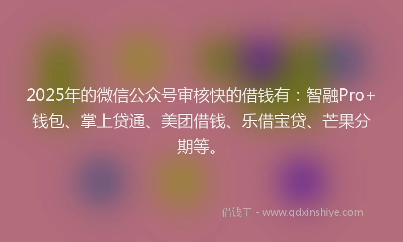 2025年的微信公众号审核快的借钱有：智融Pro+钱包、掌上贷通、美团借钱、乐借宝贷、芒果分期等。