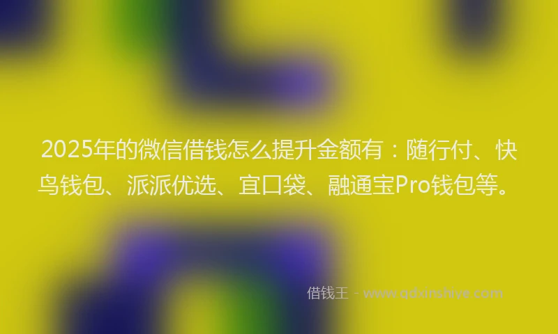 2025年的微信借钱怎么提升金额有：随行付、快鸟钱包、派派优选、宜口袋、融通宝Pro钱包等。