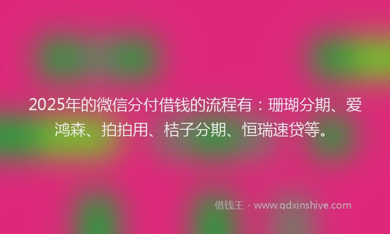 2025年的微信分付借钱的流程有：珊瑚分期、爱鸿森、拍拍用、桔子分期、恒瑞速贷等。
