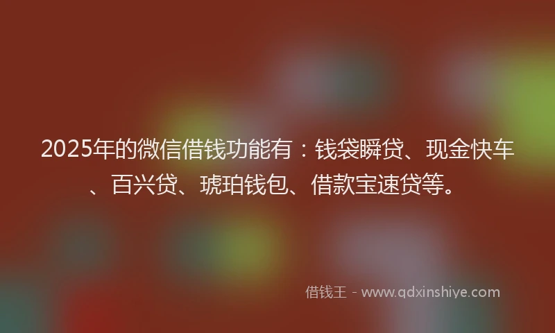 2025年的微信借钱功能有：钱袋瞬贷、现金快车、百兴贷、琥珀钱包、借款宝速贷等。