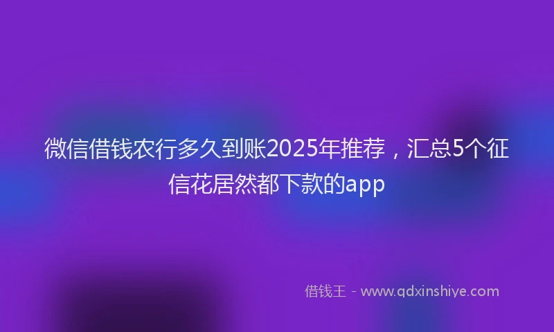 微信借钱农行多久到账2025年推荐，汇总5个征信花居然都下款的app