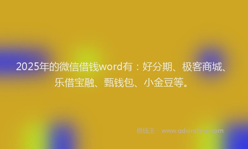 2025年的微信借钱word有：好分期、极客商城、乐借宝融、甄钱包、小金豆等。