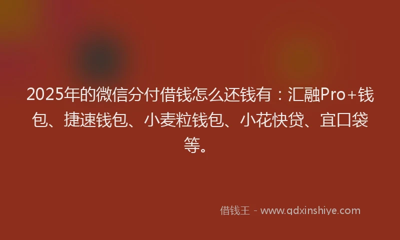 2025年的微信分付借钱怎么还钱有：汇融Pro+钱包、捷速钱包、小麦粒钱包、小花快贷、宜口袋等。