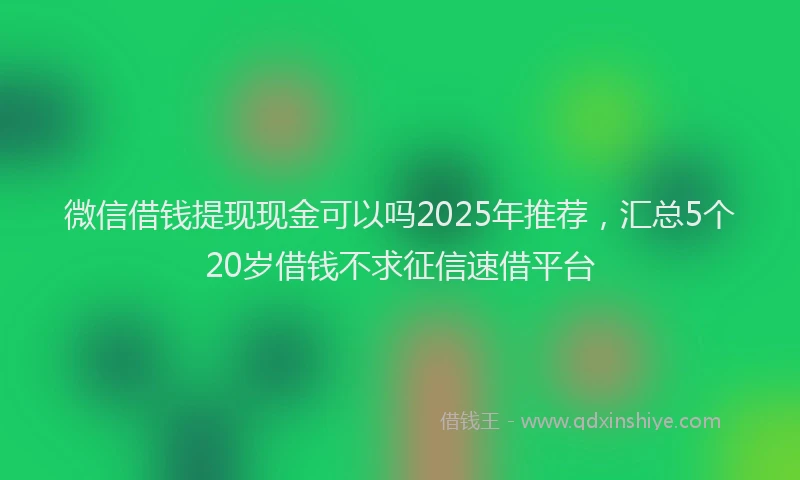 微信借钱提现现金可以吗2025年推荐，汇总5个20岁借钱不求征信速借平台