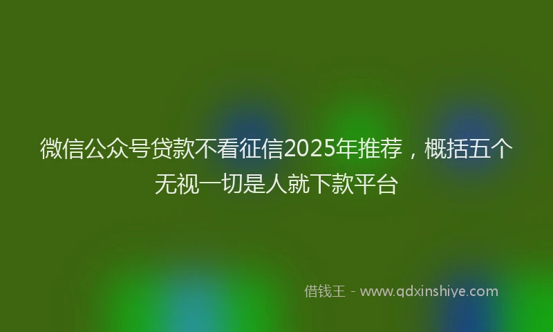 微信公众号贷款不看征信2025年推荐，概括五个无视一切是人就下款平台