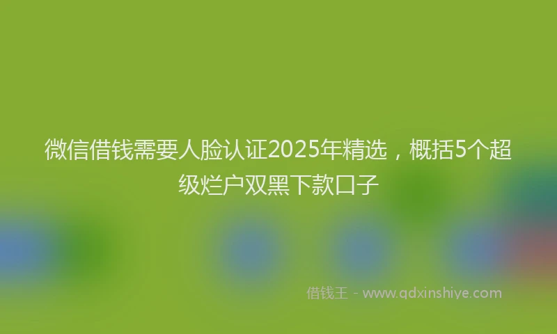 微信借钱需要人脸认证2025年精选，概括5个超级烂户双黑下款口子