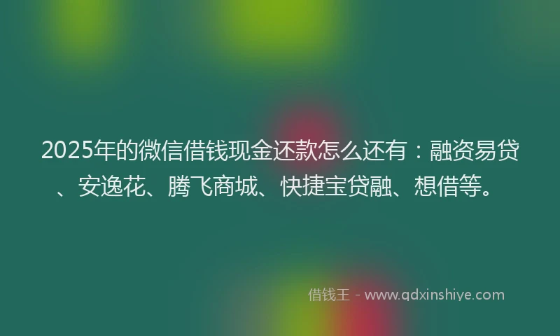 2025年的微信借钱现金还款怎么还有：融资易贷、安逸花、腾飞商城、快捷宝贷融、想借等。