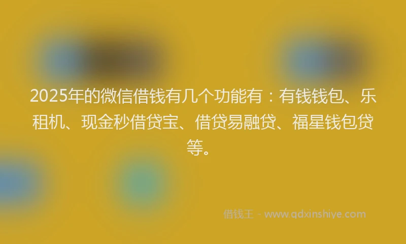 2025年的微信借钱有几个功能有：有钱钱包、乐租机、现金秒借贷宝、借贷易融贷、福星钱包贷等。