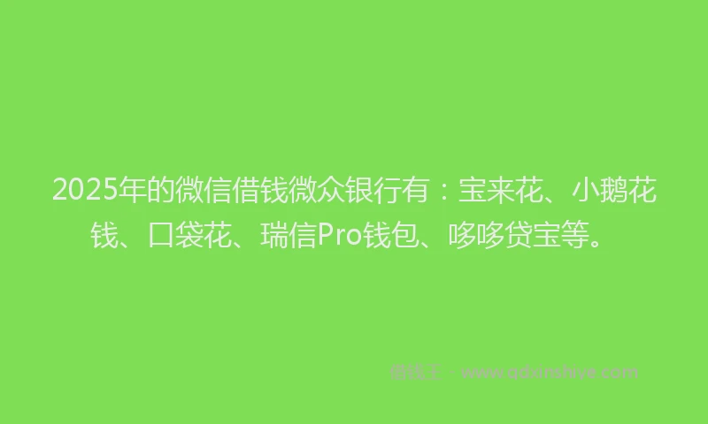 2025年的微信借钱微众银行有：宝来花、小鹅花钱、口袋花、瑞信Pro钱包、哆哆贷宝等。