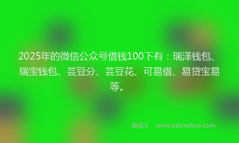 2025年的微信公众号借钱100下有：瑞泽钱包、瑞宝钱包、芸豆分、芸豆花、可易借、易贷宝易等。
