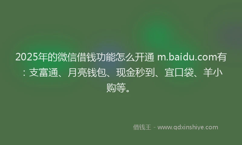 2025年的微信借钱功能怎么开通 m.baidu.com有：支富通、月亮钱包、现金秒到、宜口袋、羊小购等。