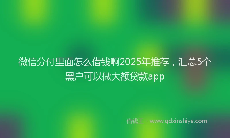 微信分付里面怎么借钱啊2025年推荐，汇总5个黑户可以做大额贷款app