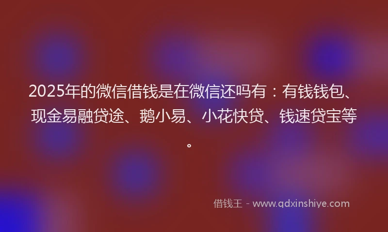 2025年的微信借钱是在微信还吗有：有钱钱包、现金易融贷途、鹅小易、小花快贷、钱速贷宝等。