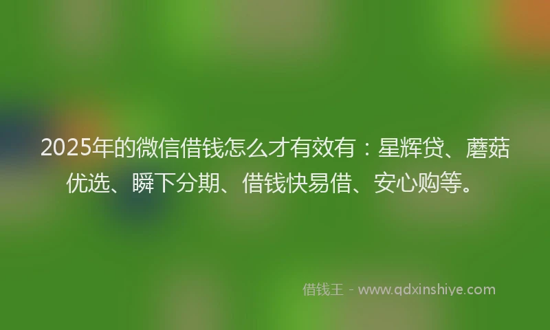 2025年的微信借钱怎么才有效有：星辉贷、蘑菇优选、瞬下分期、借钱快易借、安心购等。
