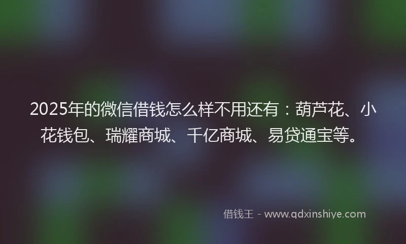2025年的微信借钱怎么样不用还有：葫芦花、小花钱包、瑞耀商城、千亿商城、易贷通宝等。
