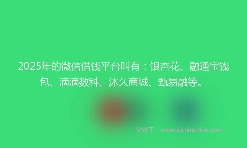 2025年的微信借钱平台叫有：银杏花、融通宝钱包、滴滴数科、沐久商城、甄易融等。