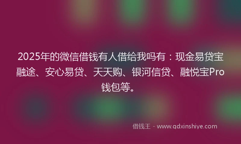 2025年的微信借钱有人借给我吗有：现金易贷宝融途、安心易贷、天天购、银河信贷、融悦宝Pro钱包等。