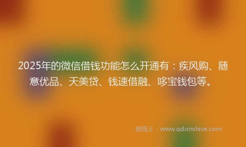 2025年的微信借钱功能怎么开通有：疾风购、随意优品、天美贷、钱速借融、哆宝钱包等。