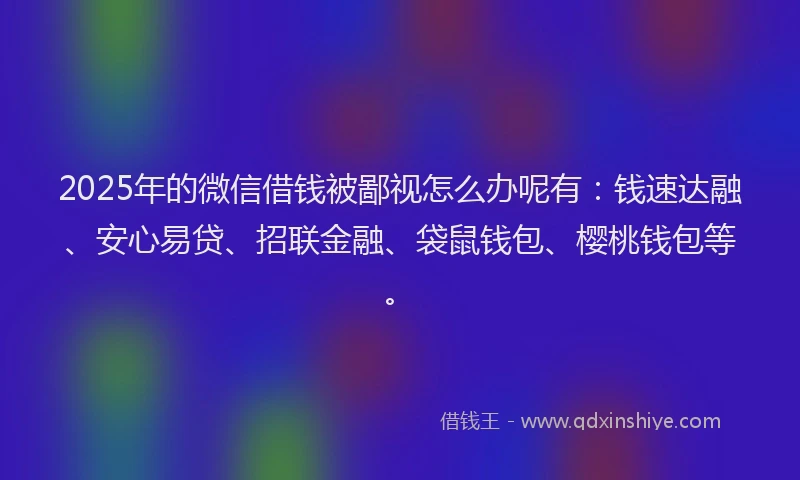 2025年的微信借钱被鄙视怎么办呢有：钱速达融、安心易贷、招联金融、袋鼠钱包、樱桃钱包等。