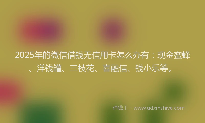 2025年的微信借钱无信用卡怎么办有：现金蜜蜂、洋钱罐、三枝花、喜融信、钱小乐等。