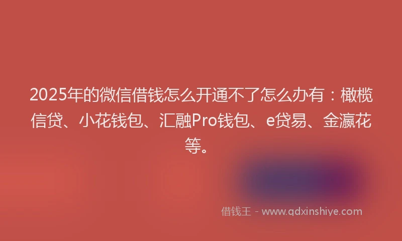 2025年的微信借钱怎么开通不了怎么办有：橄榄信贷、小花钱包、汇融Pro钱包、e贷易、金瀛花等。