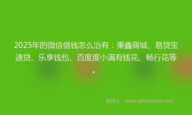 2025年的微信借钱怎么治有：秉鑫商城、易贷宝速贷、乐享钱包、百度度小满有钱花、畅行花等。