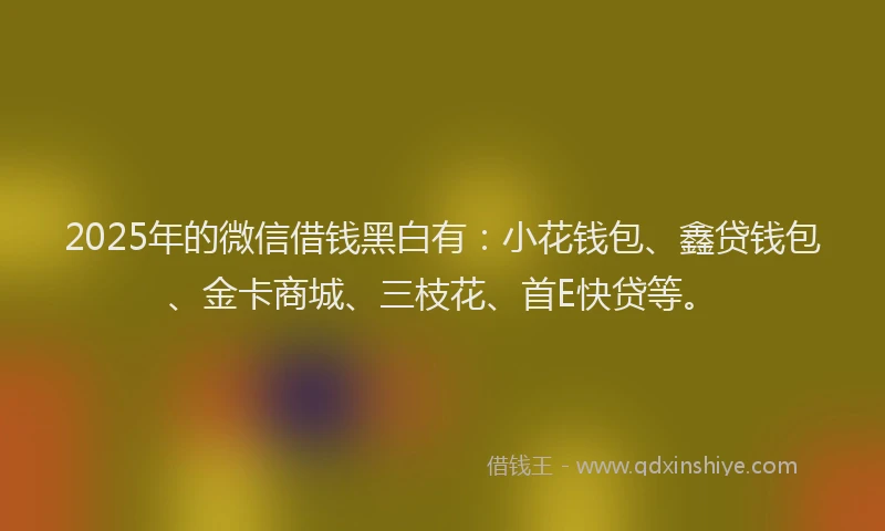 2025年的微信借钱黑白有：小花钱包、鑫贷钱包、金卡商城、三枝花、首E快贷等。