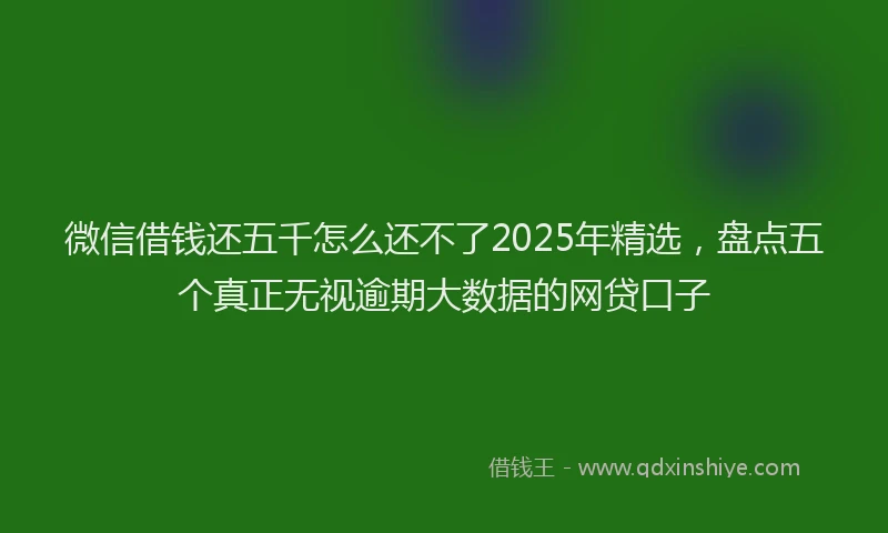 微信借钱还五千怎么还不了2025年精选，盘点五个真正无视逾期大数据的网贷口子