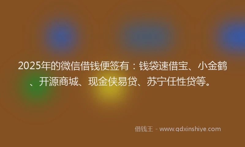2025年的微信借钱便签有：钱袋速借宝、小金鹤、开源商城、现金侠易贷、苏宁任性贷等。