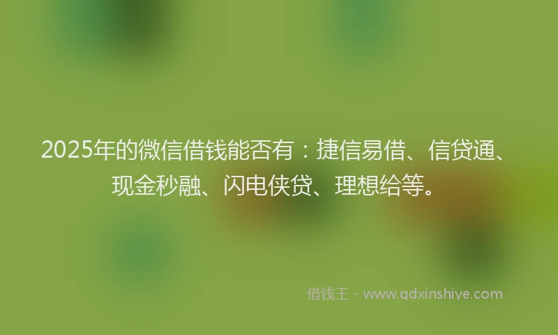 2025年的微信借钱能否有：捷信易借、信贷通、现金秒融、闪电侠贷、理想给等。