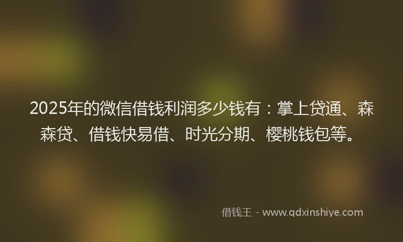 2025年的微信借钱利润多少钱有：掌上贷通、森森贷、借钱快易借、时光分期、樱桃钱包等。