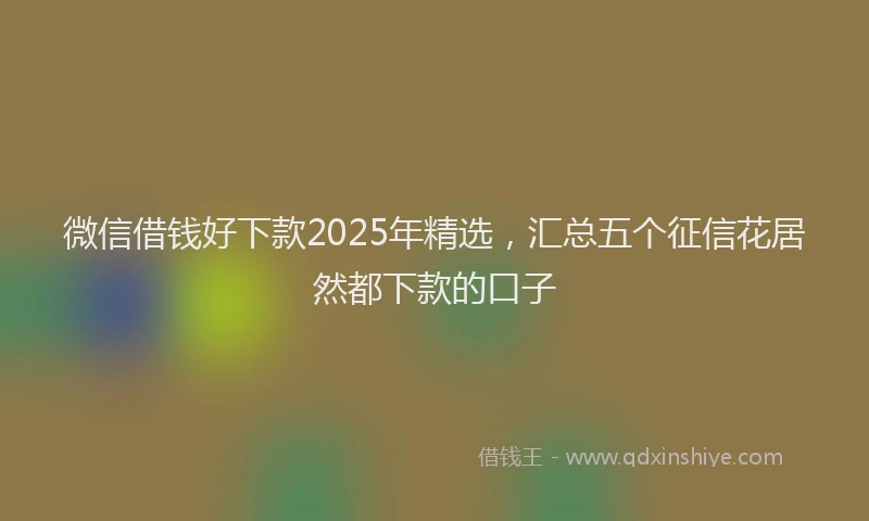 微信借钱好下款2025年精选，汇总五个征信花居然都下款的口子