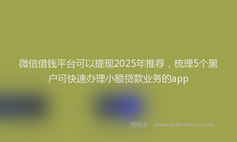 微信借钱平台可以提现2025年推荐，梳理5个黑户可快速办理小额贷款业务的app