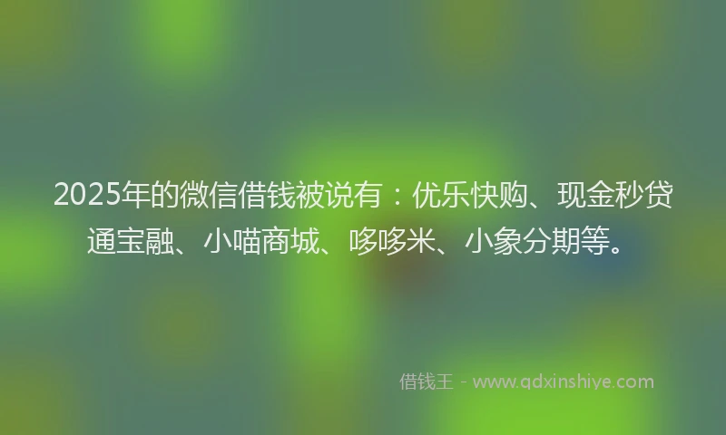 2025年的微信借钱被说有：优乐快购、现金秒贷通宝融、小喵商城、哆哆米、小象分期等。