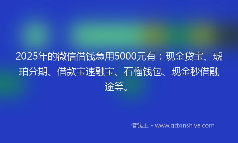 2025年的微信借钱急用5000元有：现金贷宝、琥珀分期、借款宝速融宝、石榴钱包、现金秒借融途等。
