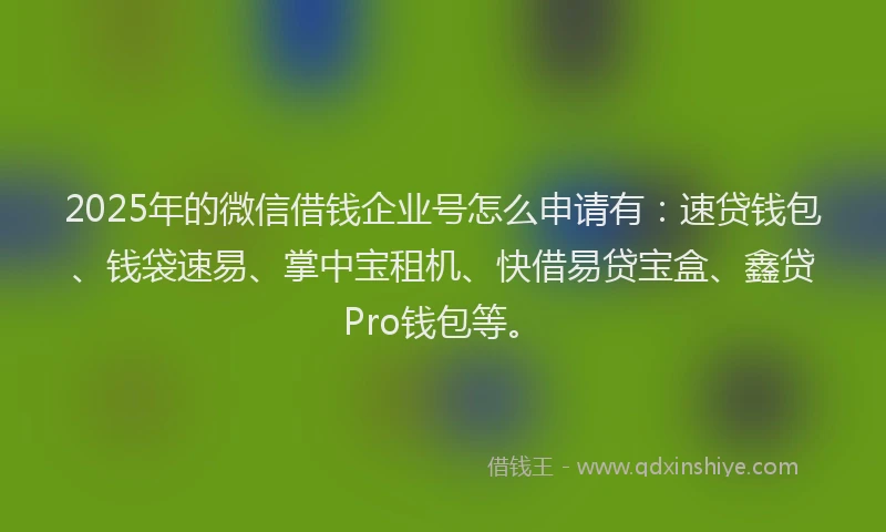 2025年的微信借钱企业号怎么申请有：速贷钱包、钱袋速易、掌中宝租机、快借易贷宝盒、鑫贷Pro钱包等。
