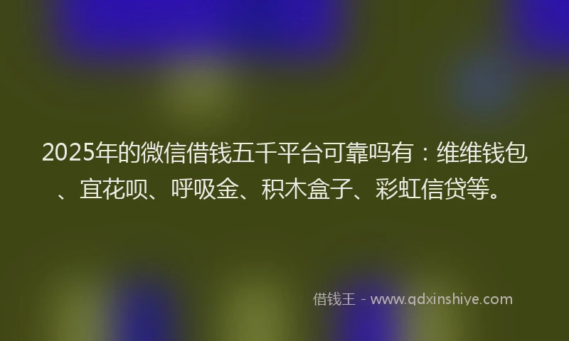 2025年的微信借钱五千平台可靠吗有：维维钱包、宜花呗、呼吸金、积木盒子、彩虹信贷等。