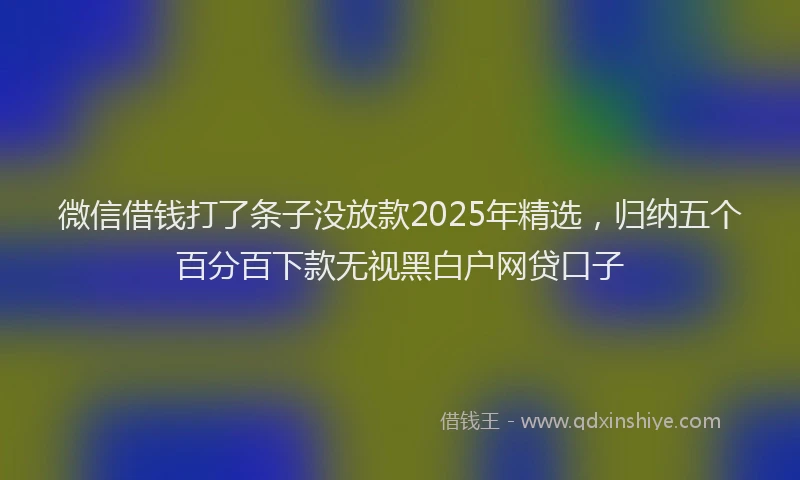 微信借钱打了条子没放款2025年精选，归纳五个百分百下款无视黑白户网贷口子