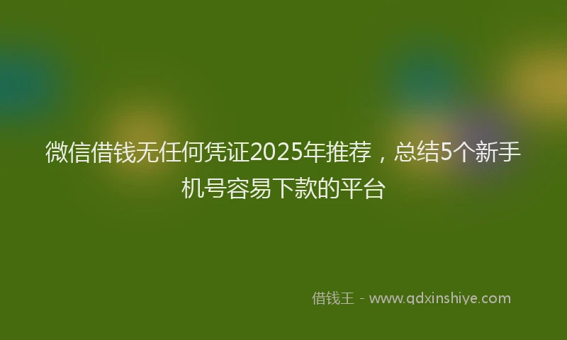 微信借钱无任何凭证2025年推荐，总结5个新手机号容易下款的平台