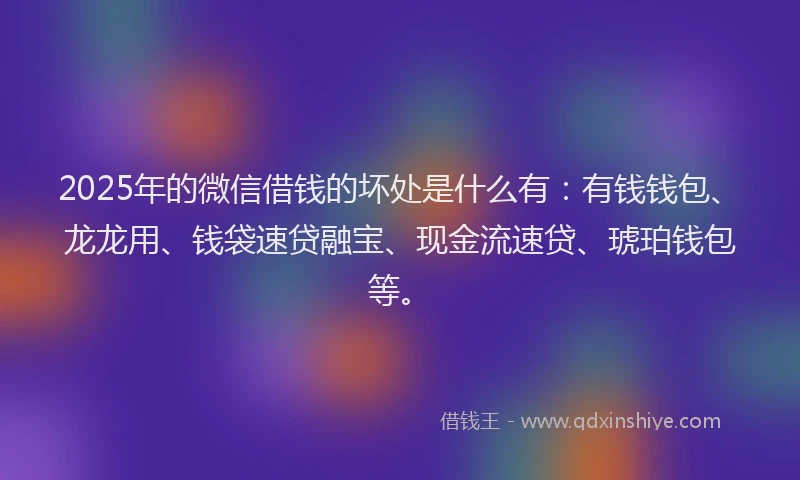 2025年的微信借钱的坏处是什么有：有钱钱包、龙龙用、钱袋速贷融宝、现金流速贷、琥珀钱包等。