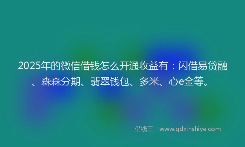 2025年的微信借钱怎么开通收益有：闪借易贷融、森森分期、翡翠钱包、多米、心e金等。