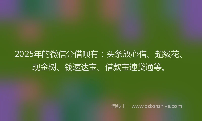 2025年的微信分借呗有：头条放心借、超级花、现金树、钱速达宝、借款宝速贷通等。